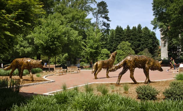 Wolf Plaza