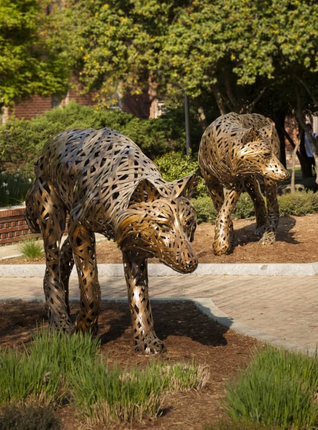 Wolf Plaza