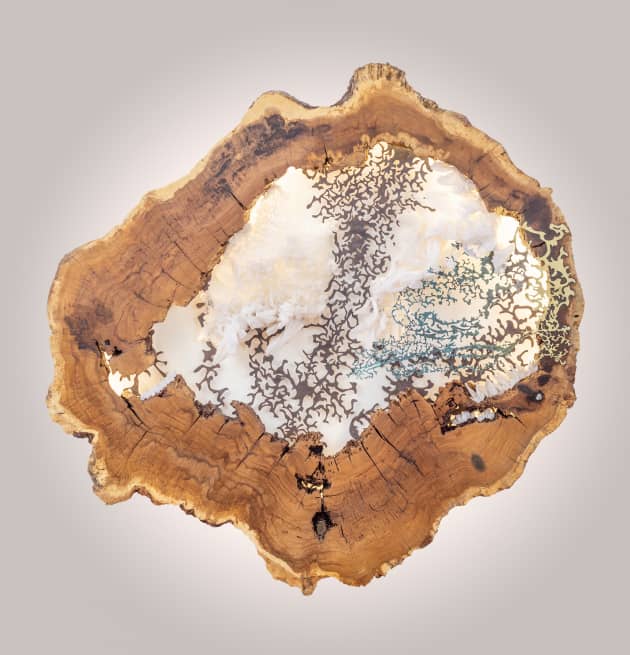 Symbiosis