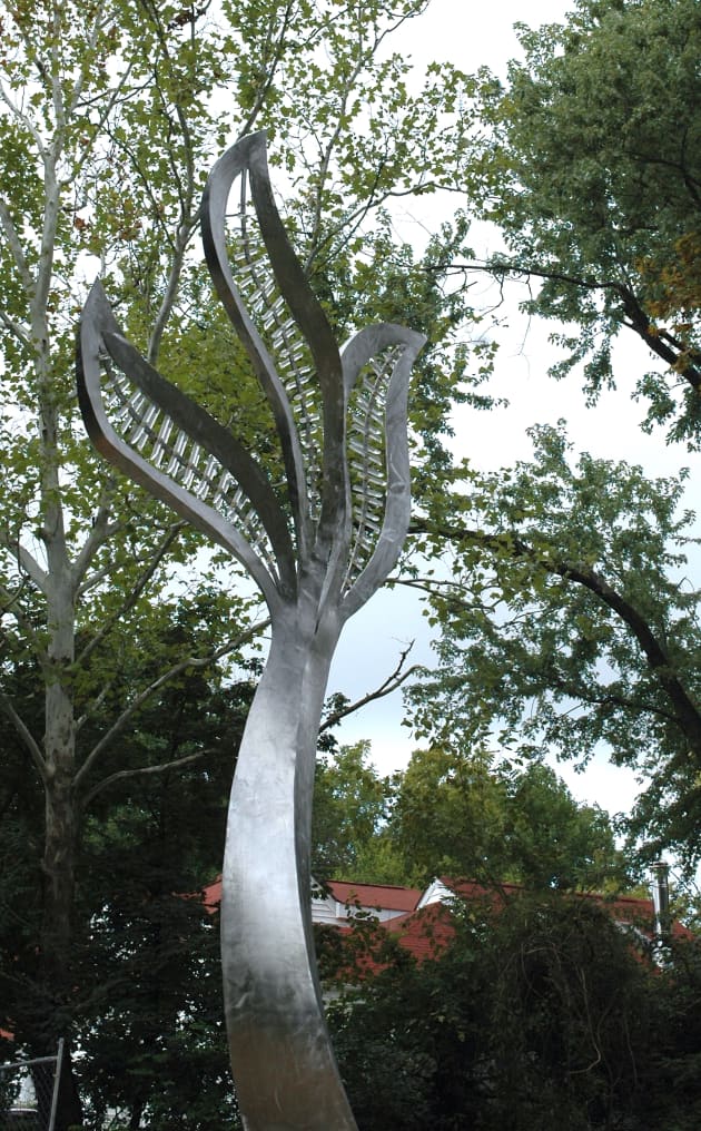 The Takoma Trees