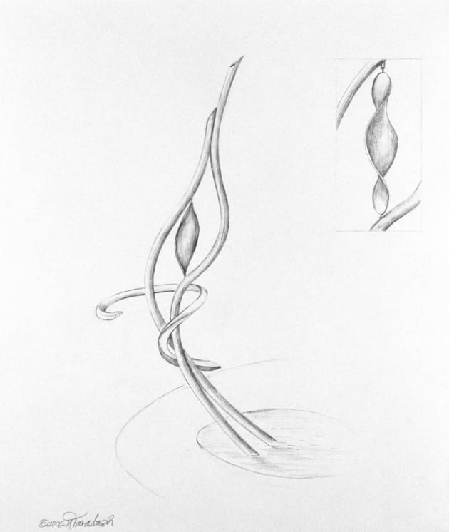 Going Forth