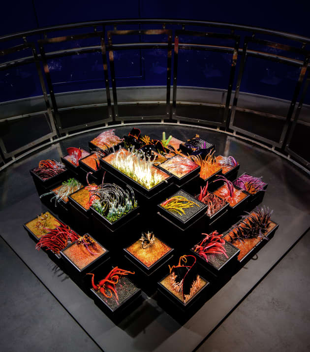 The Deep Aquarium Installation