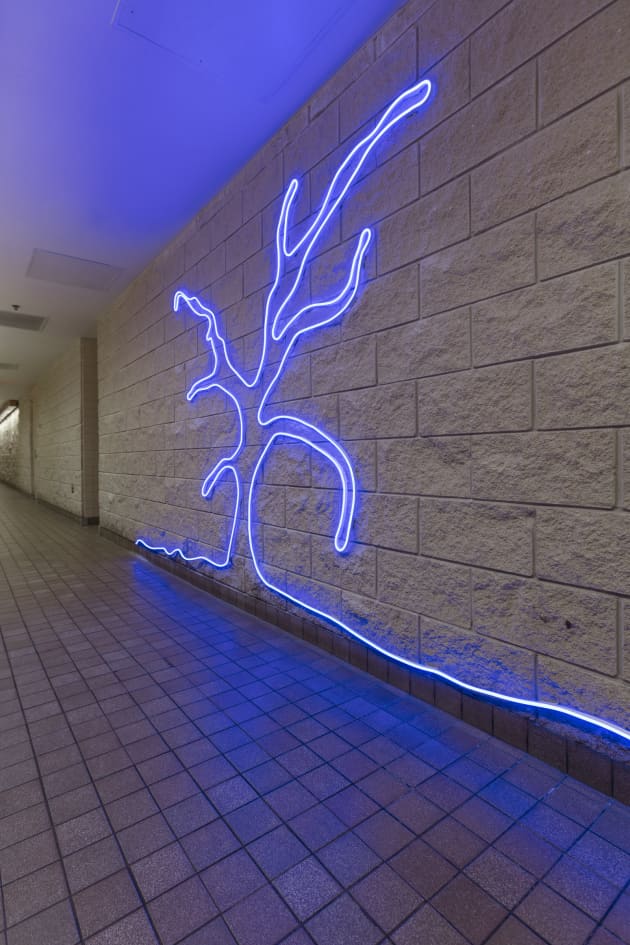 The Joys of Broward Illuminated