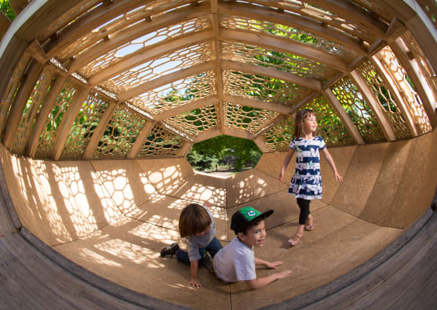 Photonic TREEpod