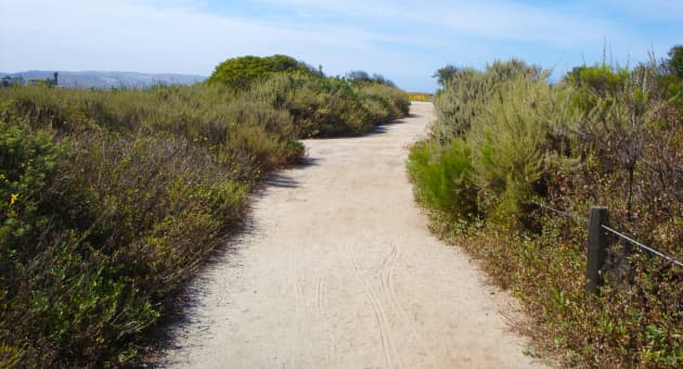 Tijuana Estuary Visitor’s Center