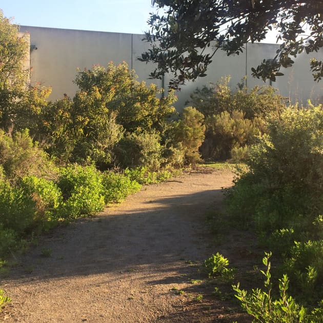 Tijuana Estuary Visitor’s Center