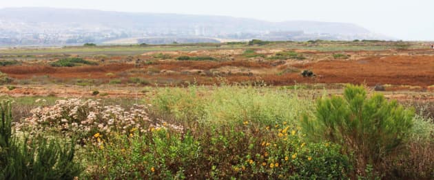 Tijuana Estuary Visitor’s Center