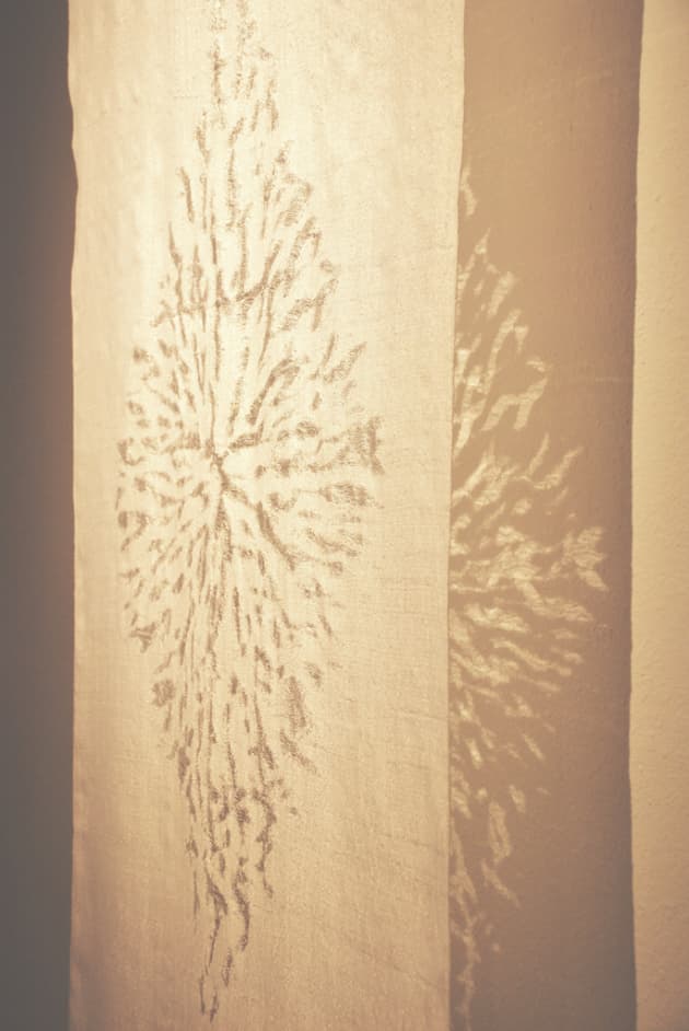 Transition Series