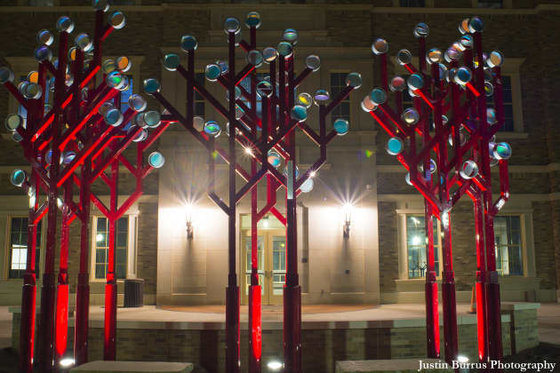 Illuminated Arboreal Data Codes