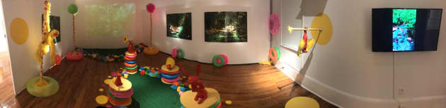Enchanted Installation