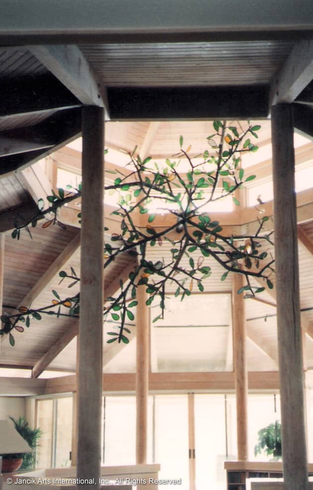 Oak Branch