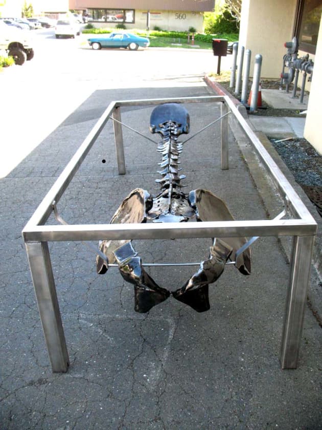 Human Spine conference Table