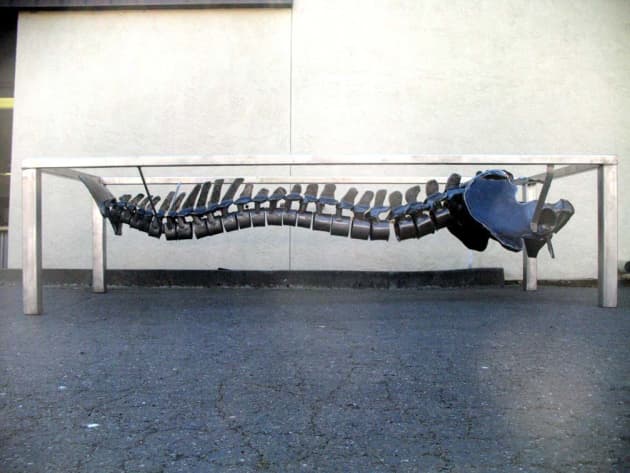 Human Spine conference Table