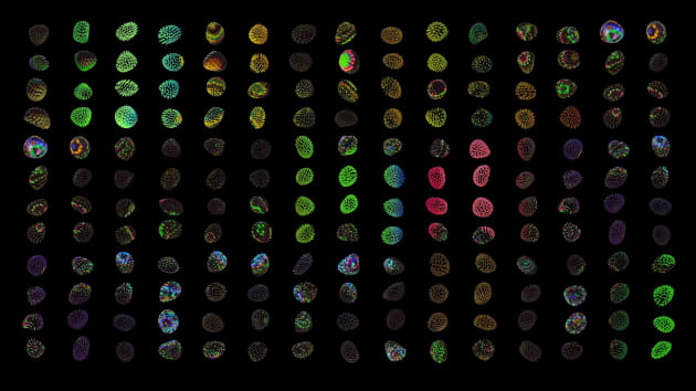 Substance: A Study of Matter