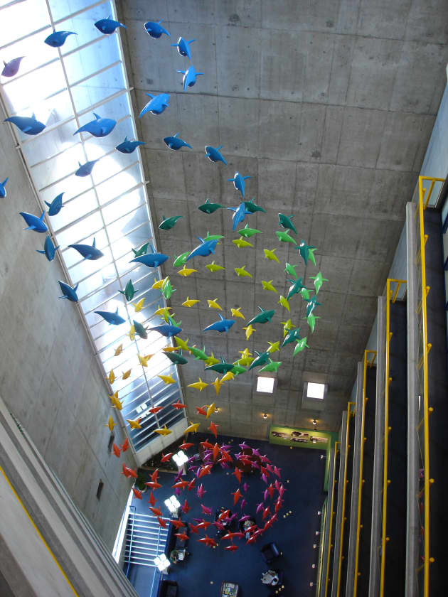 Vortex