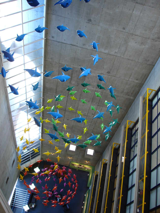 Vortex