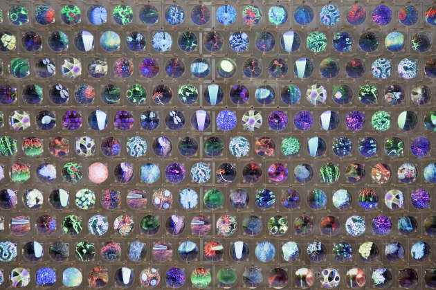 WCMC Discovery Wall