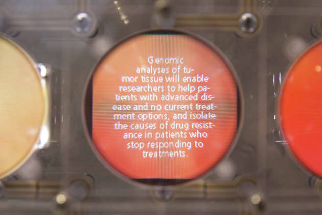 WCMC Discovery Wall