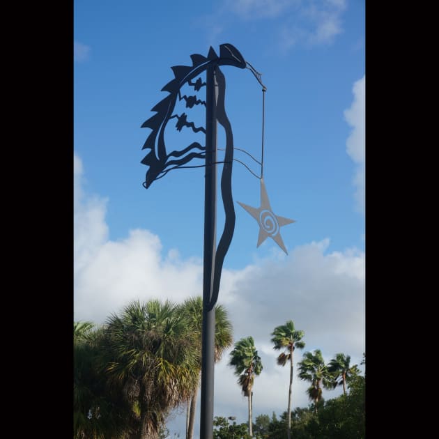 Spirit of the Sound: Dragonfly