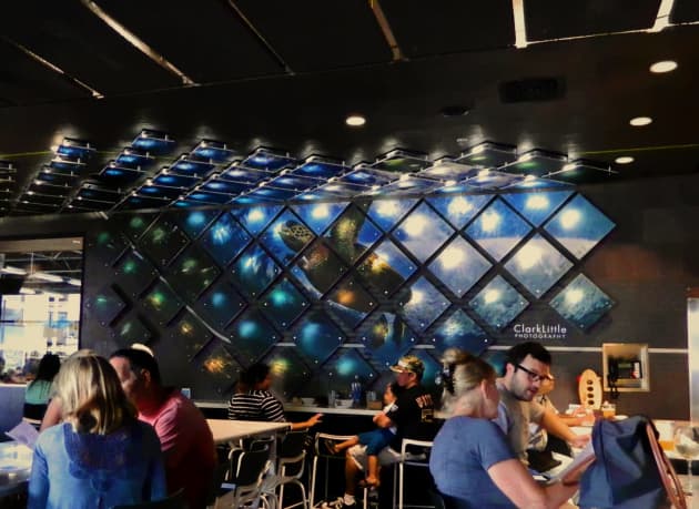 Puka's Bar at Whole Foods Kahala - CODAworx