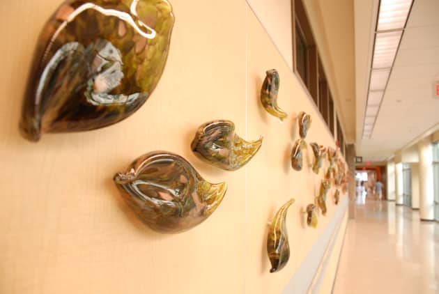 How Do I Access My Medical Records Medicalrecords Com How Do I Access My Medical Records Medicalrecords Com