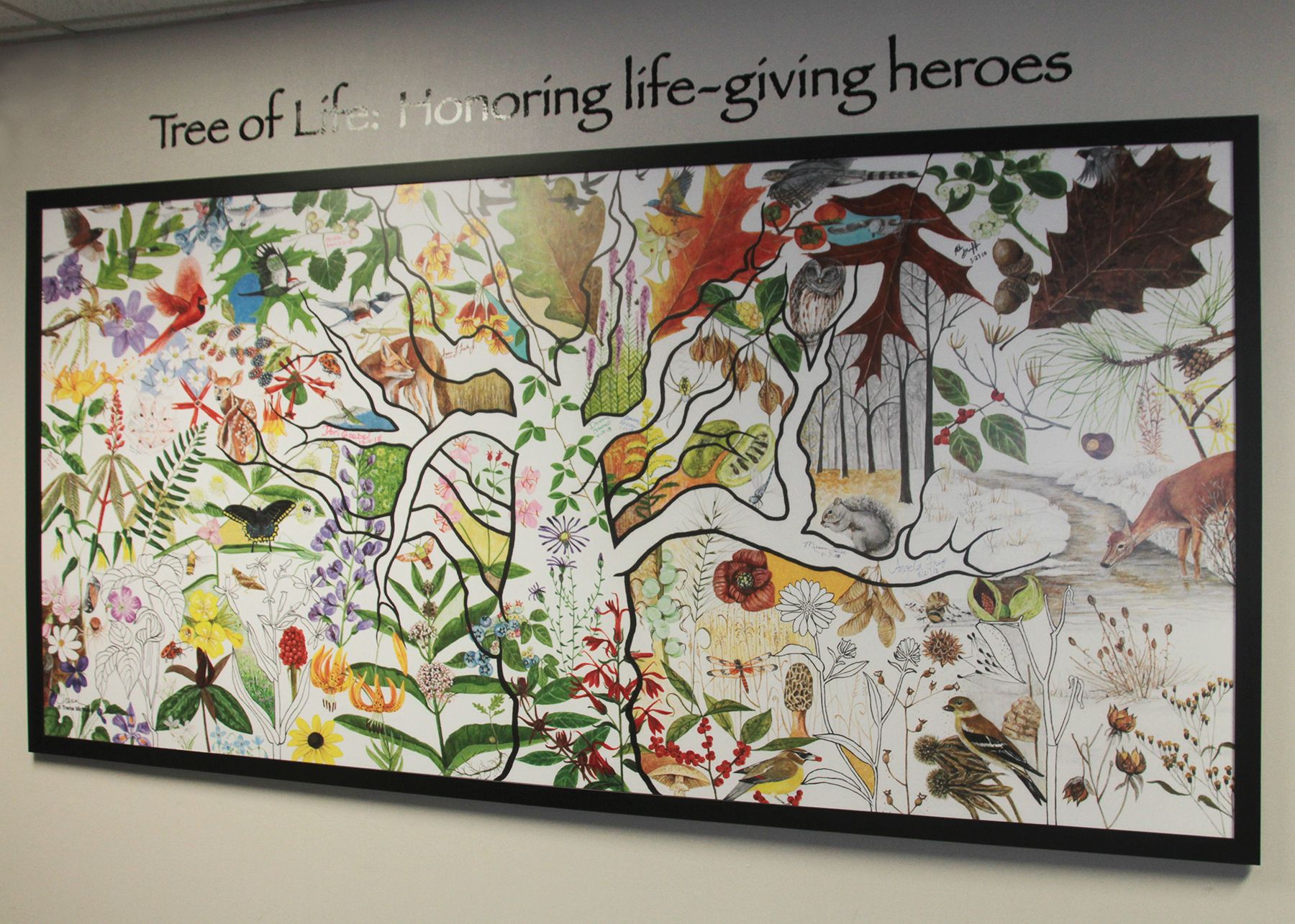 Project: Organ Donor Recognition Wall - CODAworx