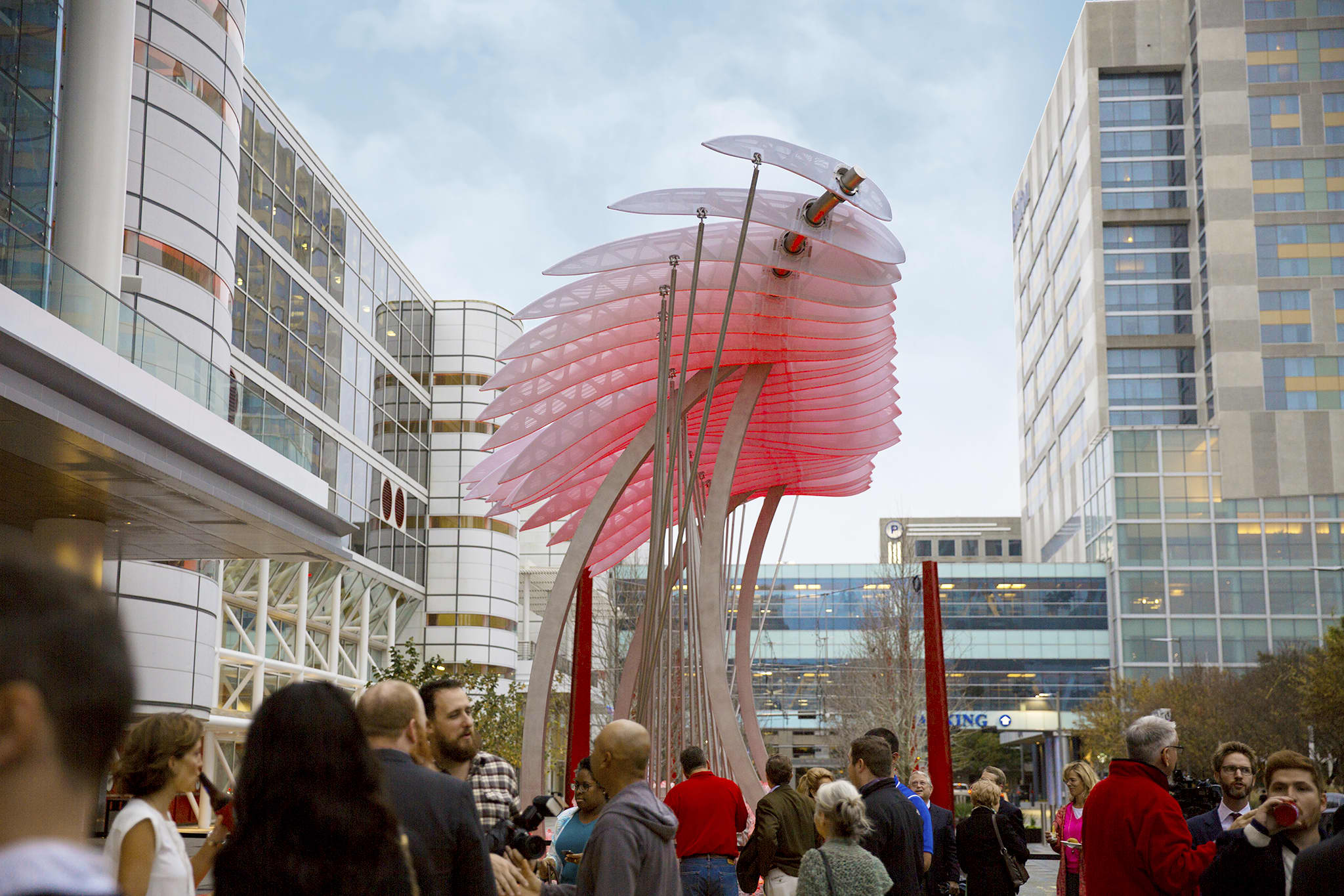 Wings Over Water CODAworx