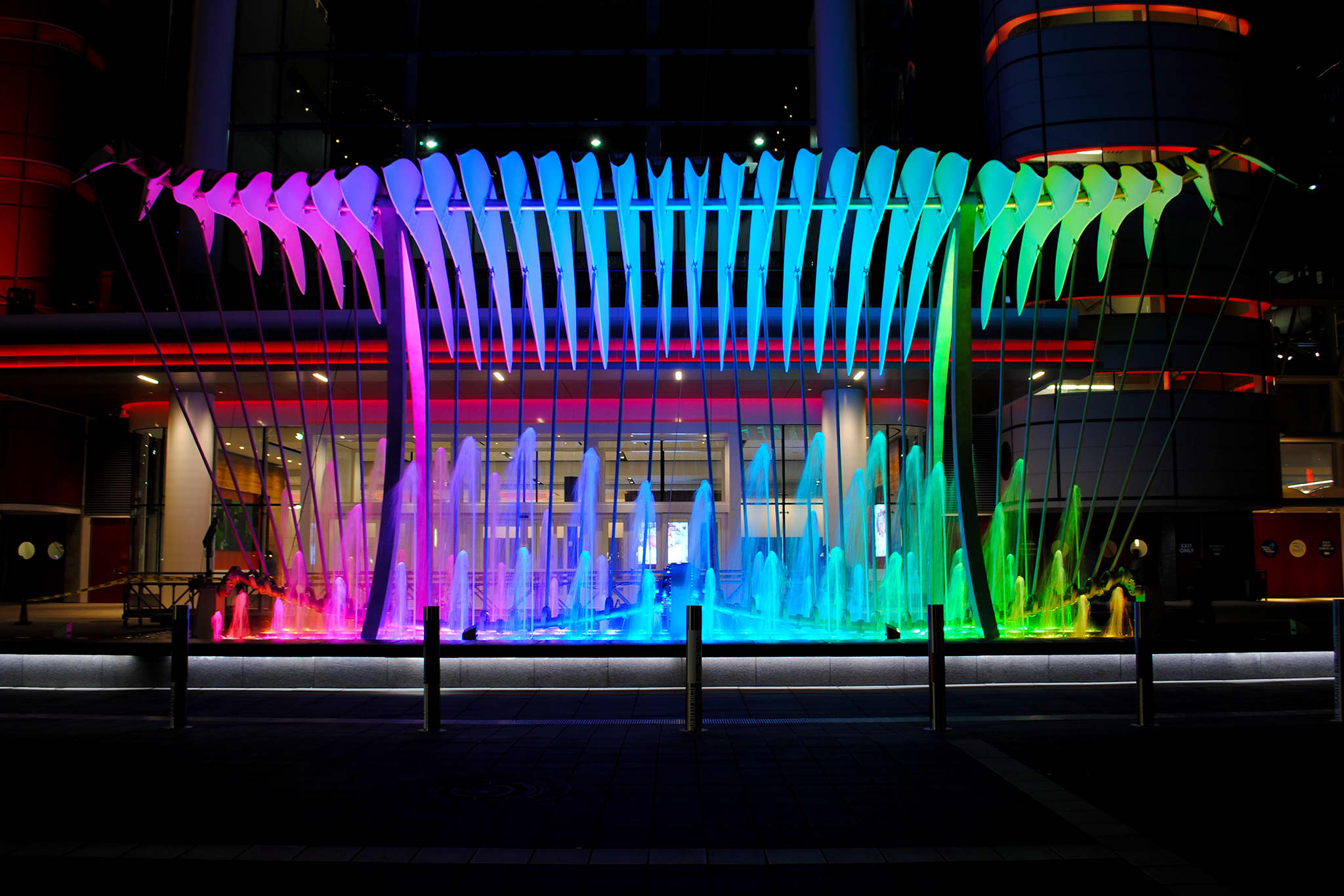 Wings Over Water CODAworx