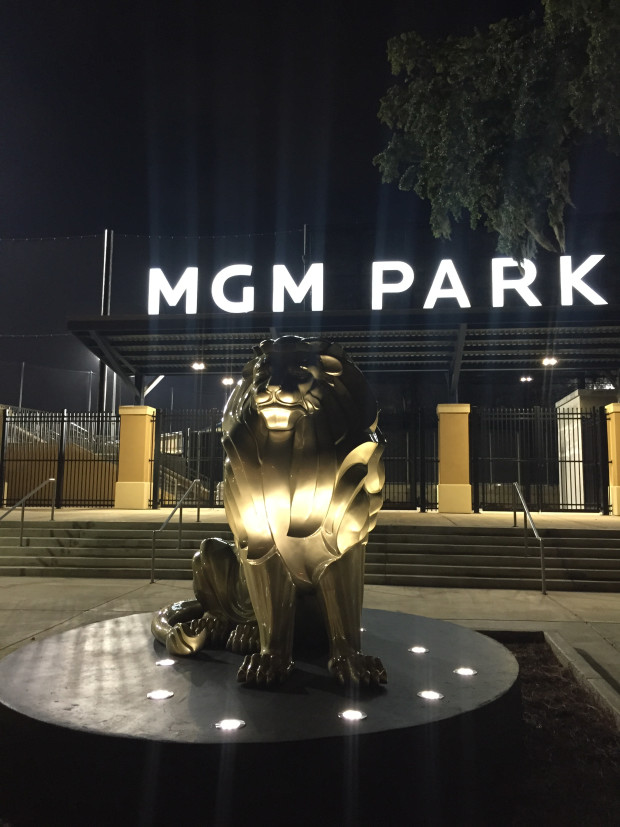 Project: MGM Lion - CODAworx