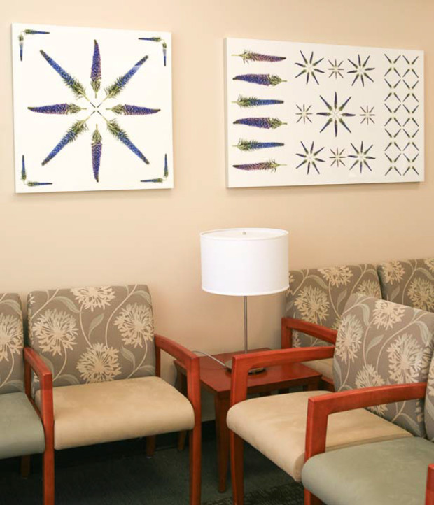 Project Sutter Women's Breast Center CODAworx