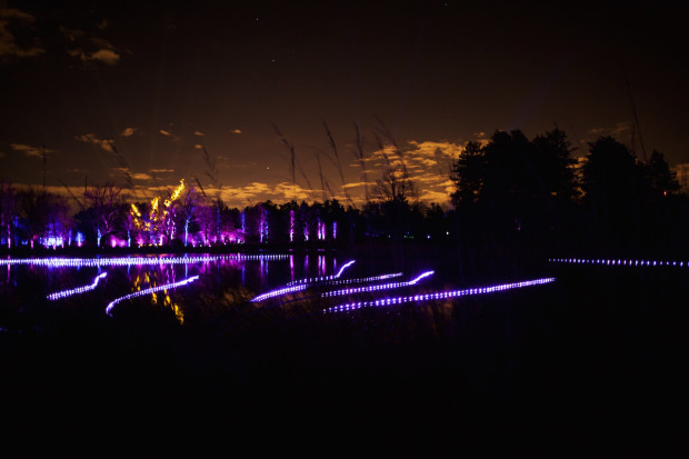Coupon for morton arboretum illumination