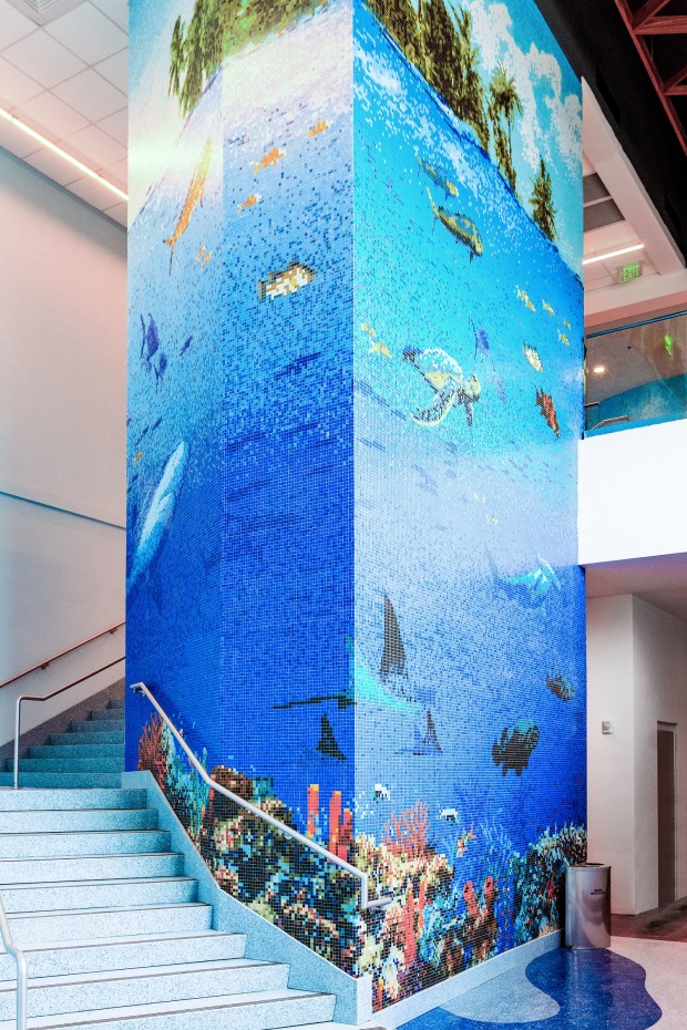 Project: Texas State Aquarium "Caribbean Journey" - Texas State Aquarium Mosaic EDiteD