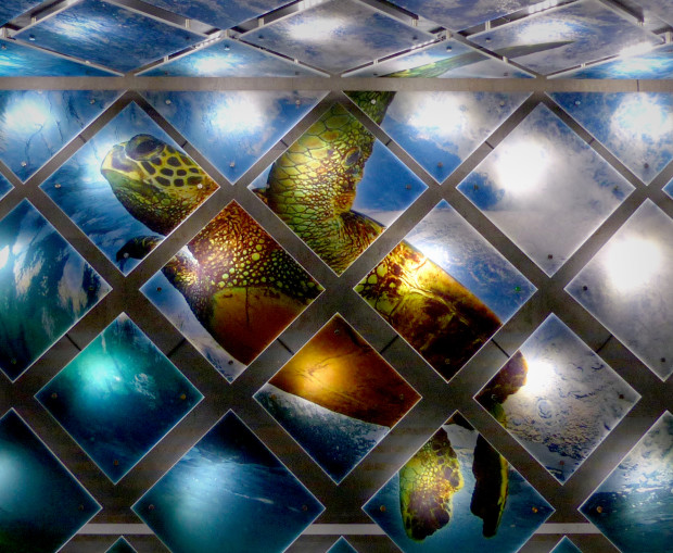 CODAmagazine: Transformative Walls cover image
