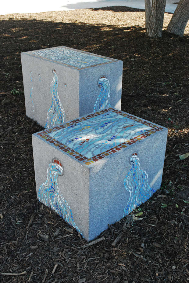 Arroyo Vista (Our Arroyo Ecosystem)