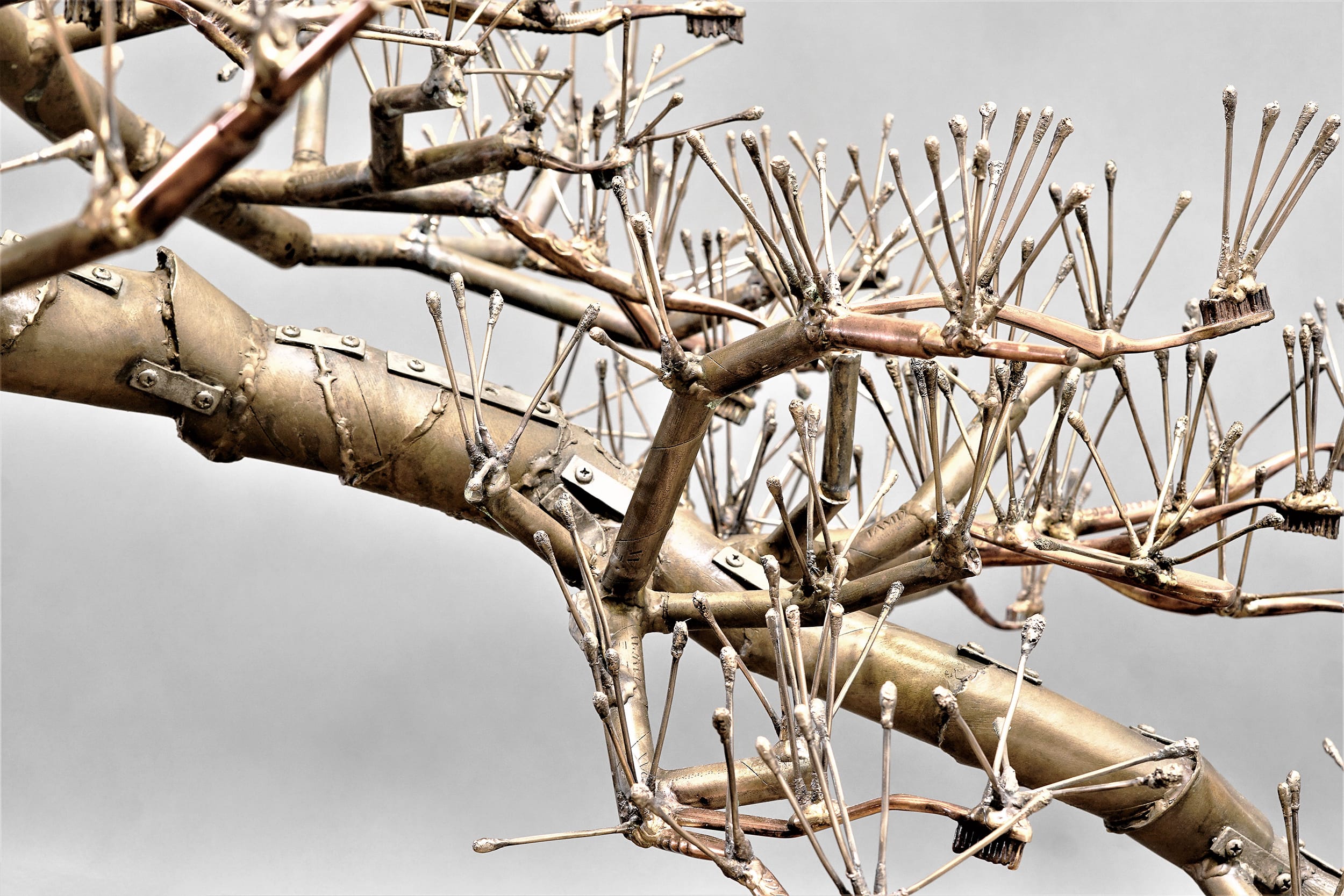 Bonsai Tree