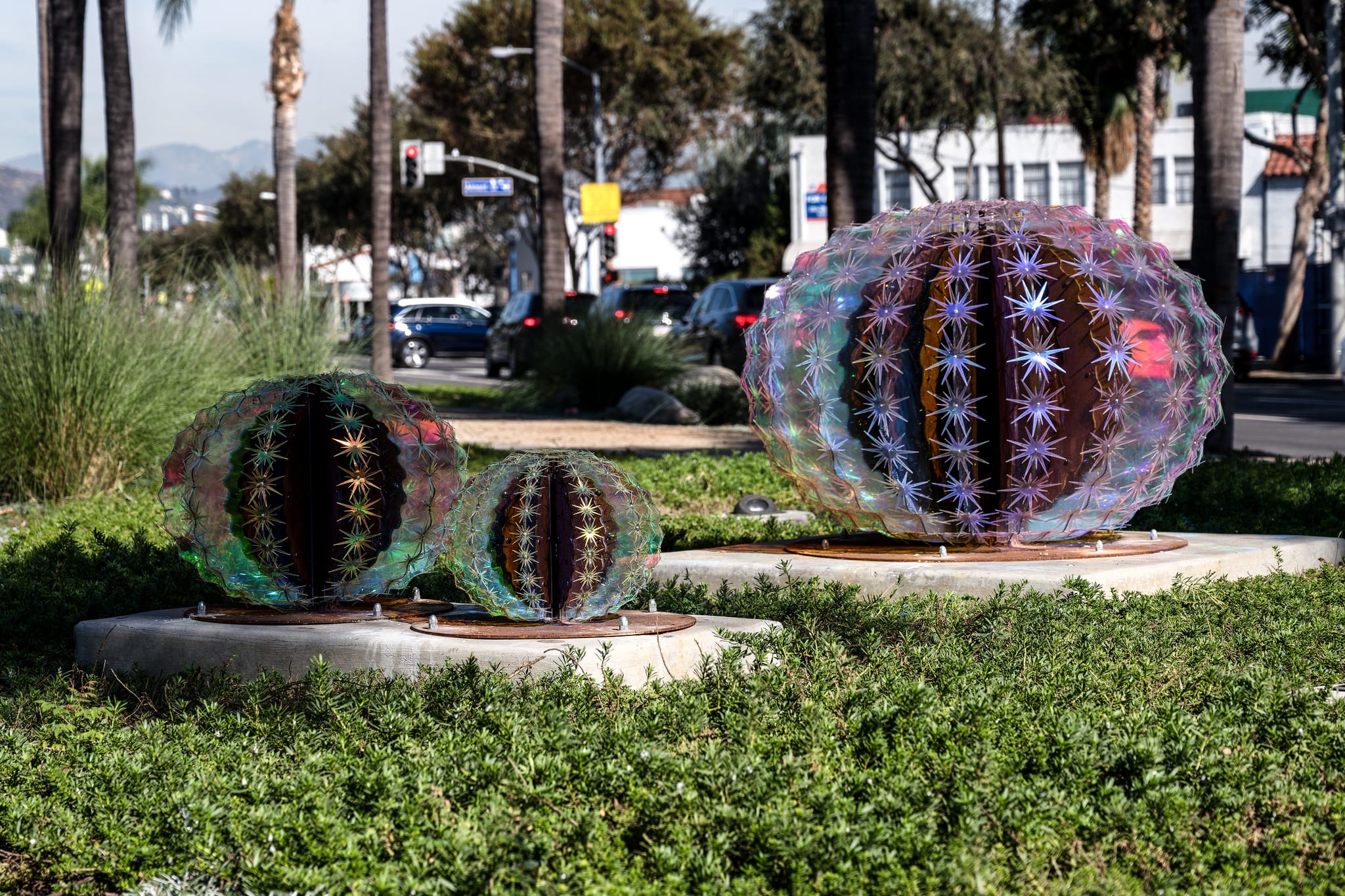 CACTI Series