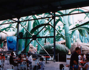 Honey I shrunk the Kids playground