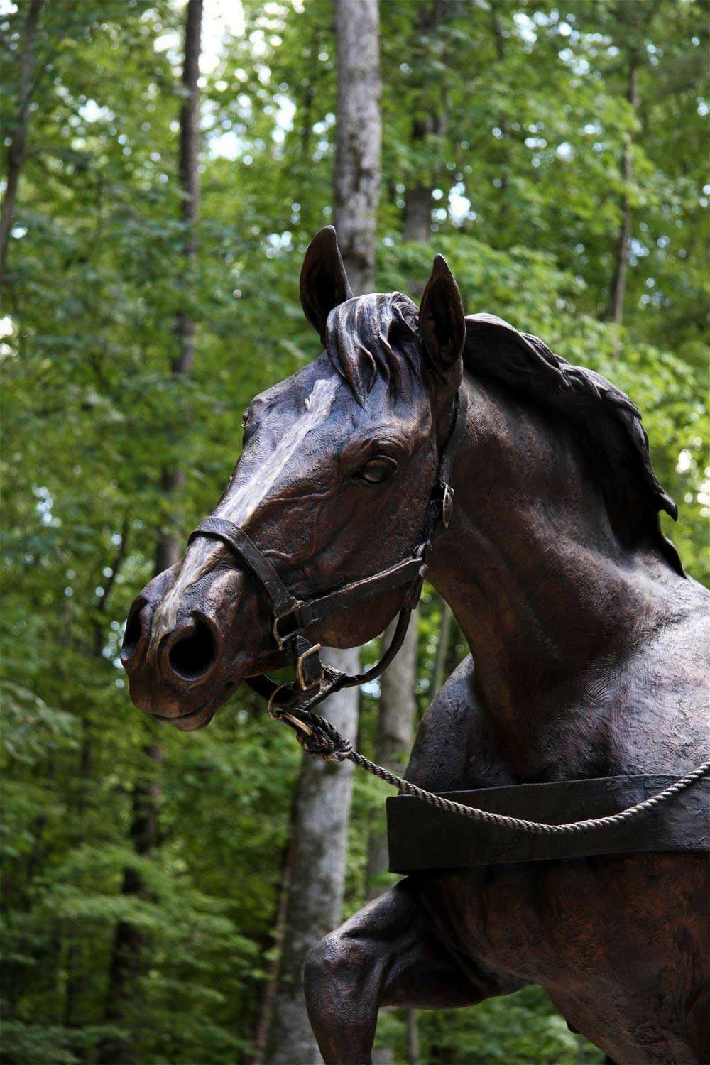 Staff Sergeant Reckless