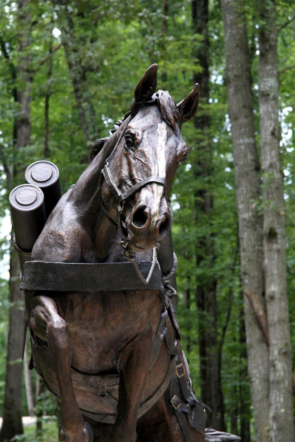 Staff Sergeant Reckless