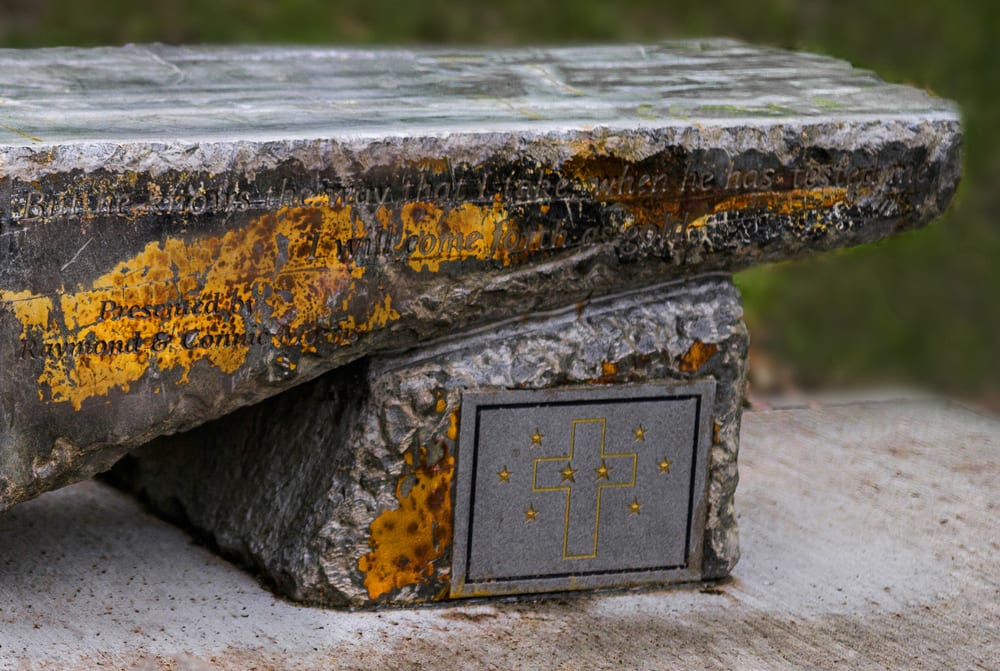 Morris Memorial Bench, Morris Park