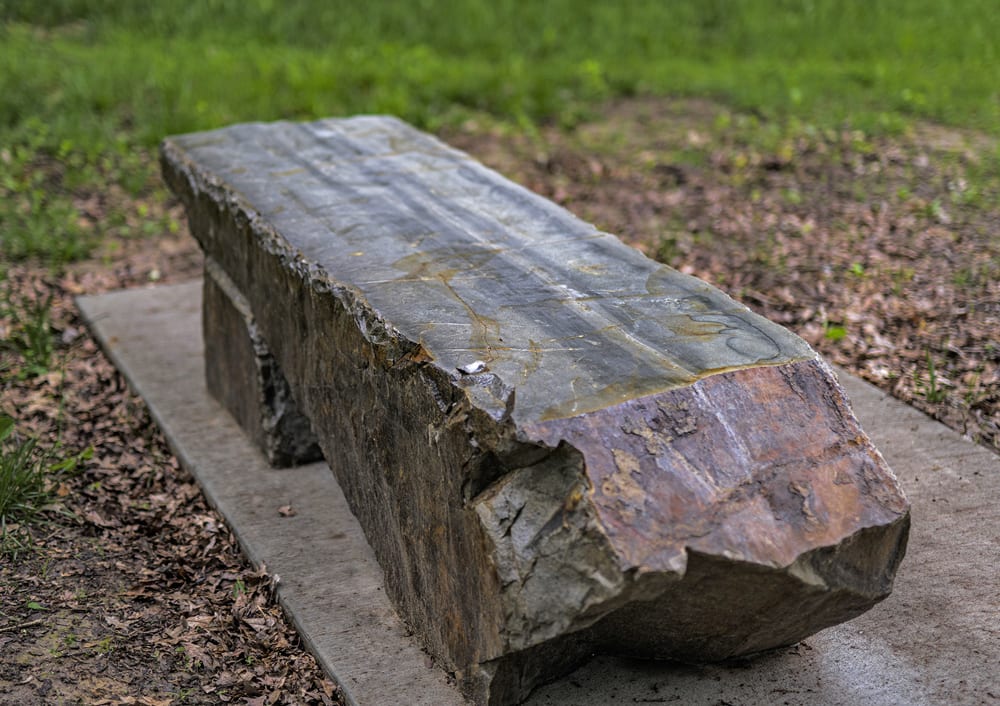 Morris Memorial Bench, Morris Park