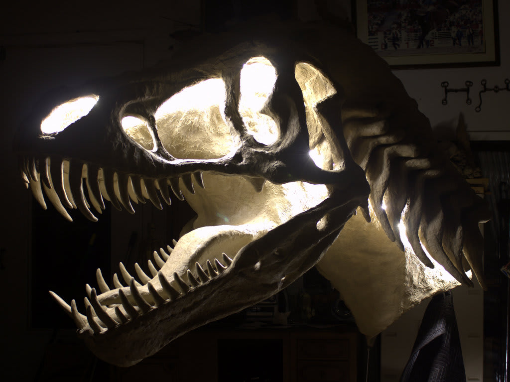 ”ESSENCE OF REX"