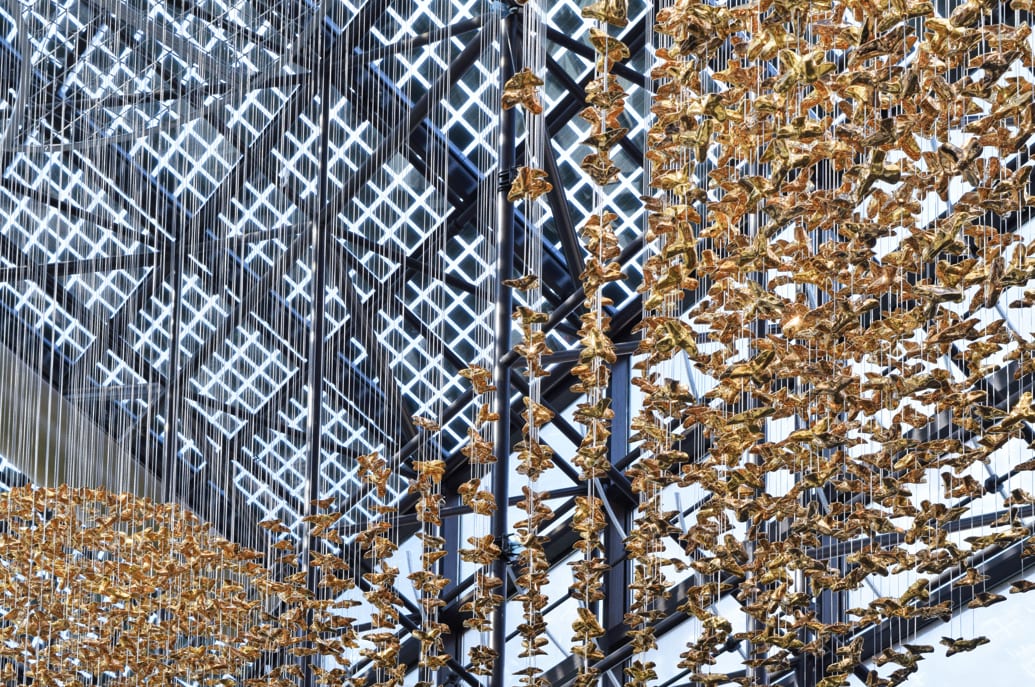 Migratory Paths