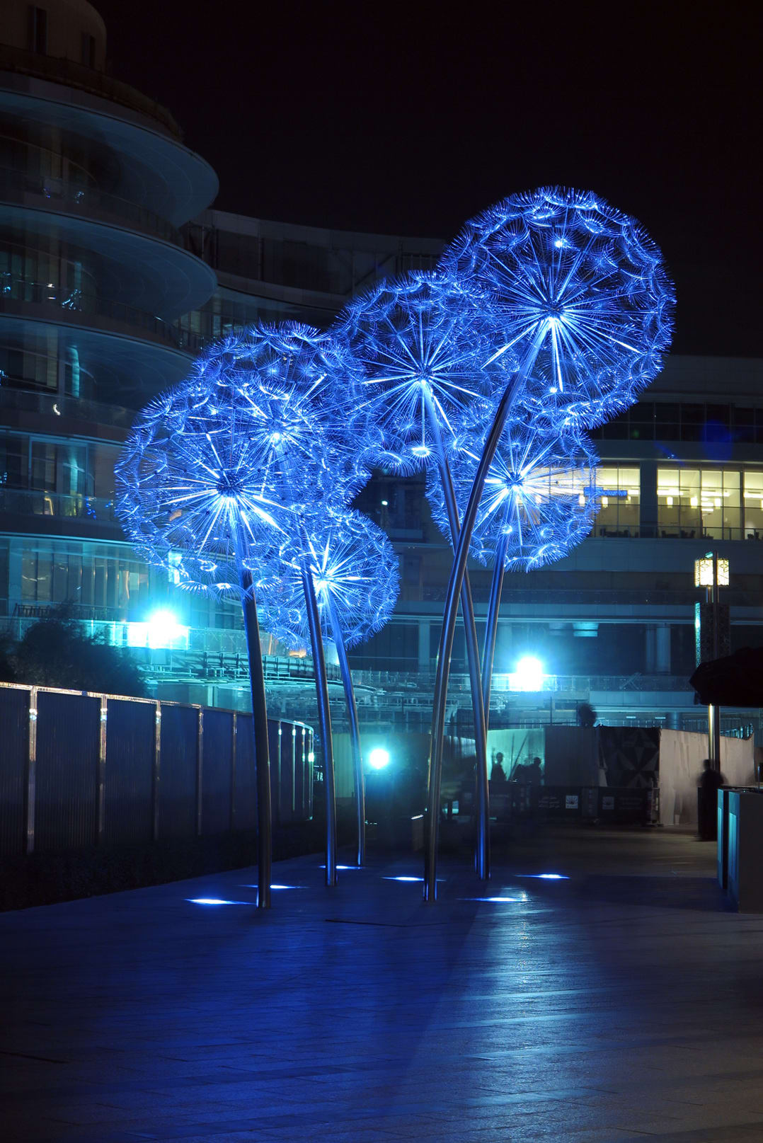 Dandelions Dubai