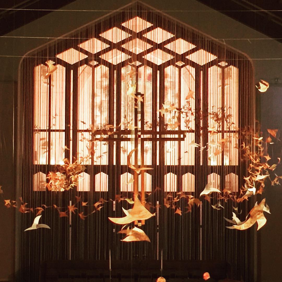 Murmuration