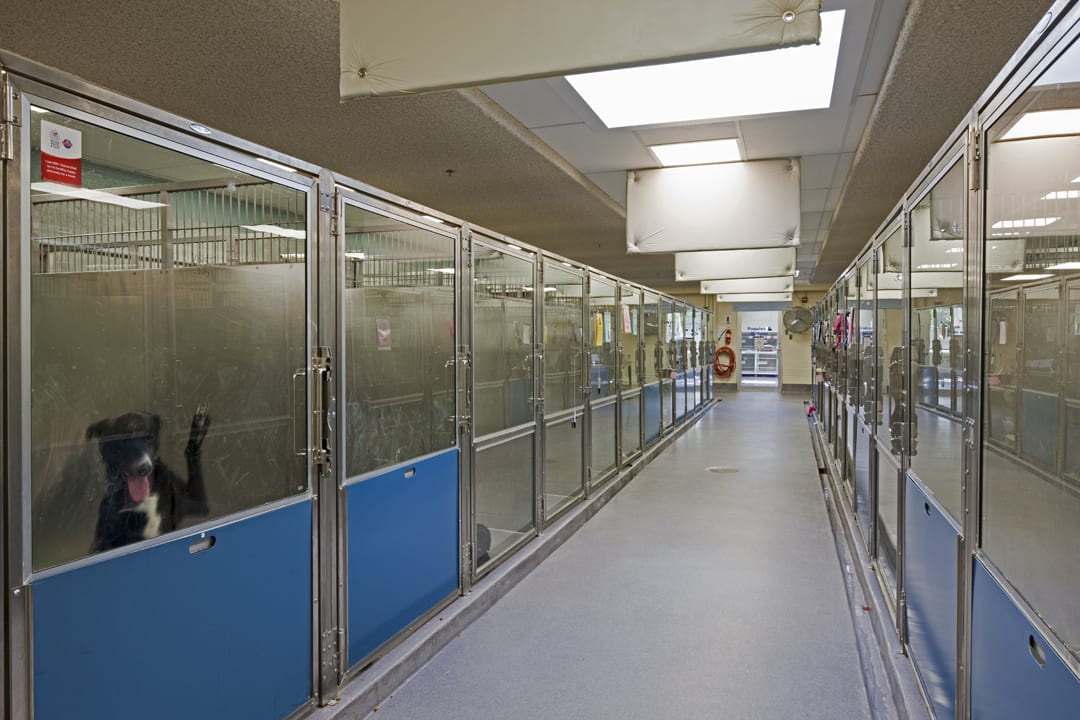 Maryland SPCA