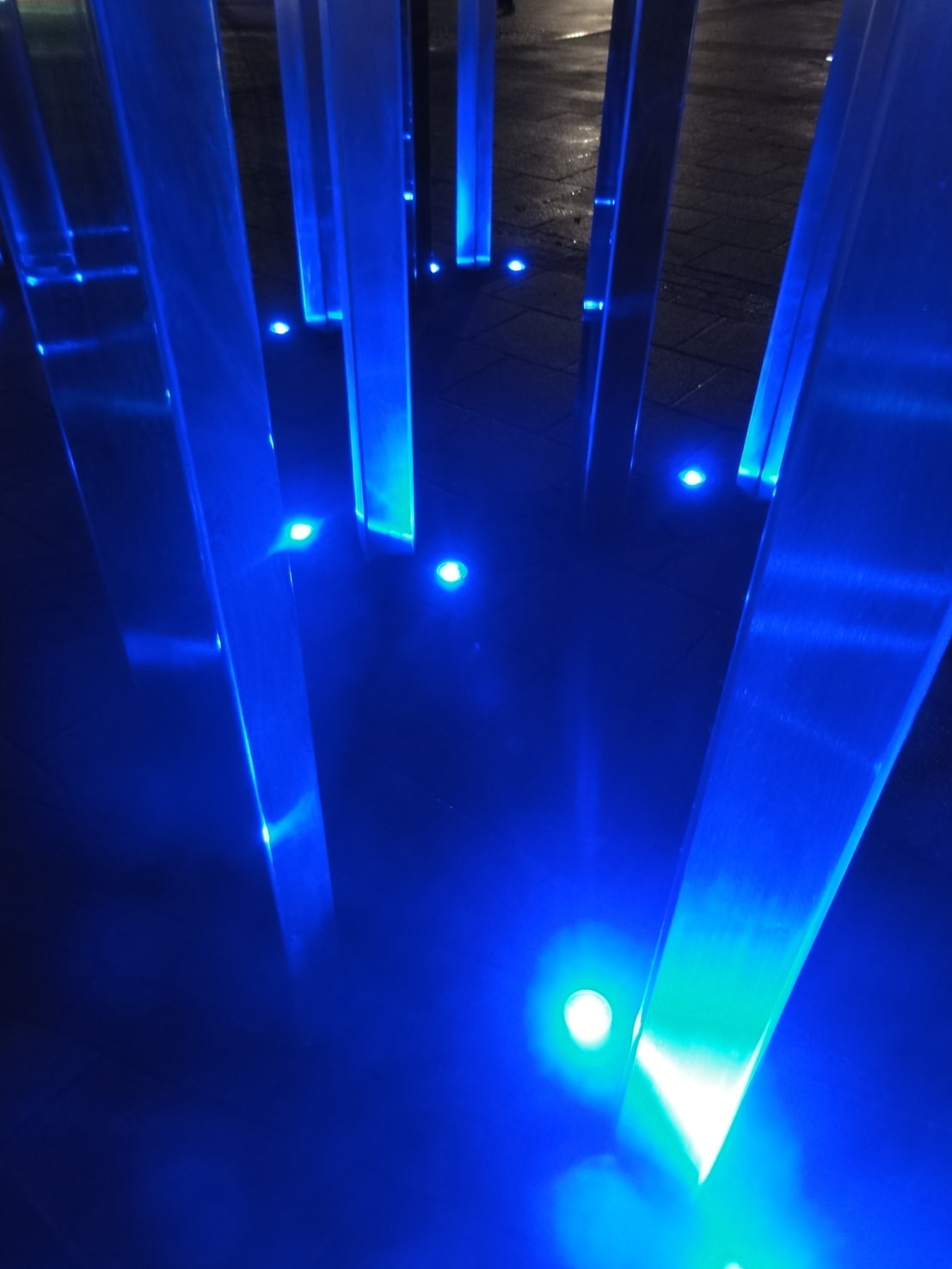 Forest of Light