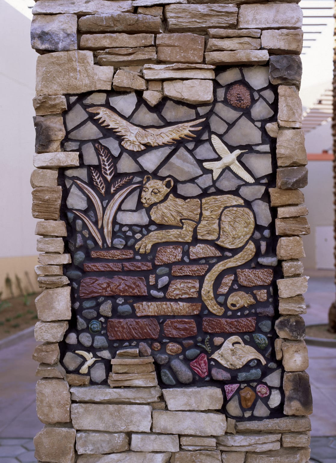 Flora and Fauna of Arizona