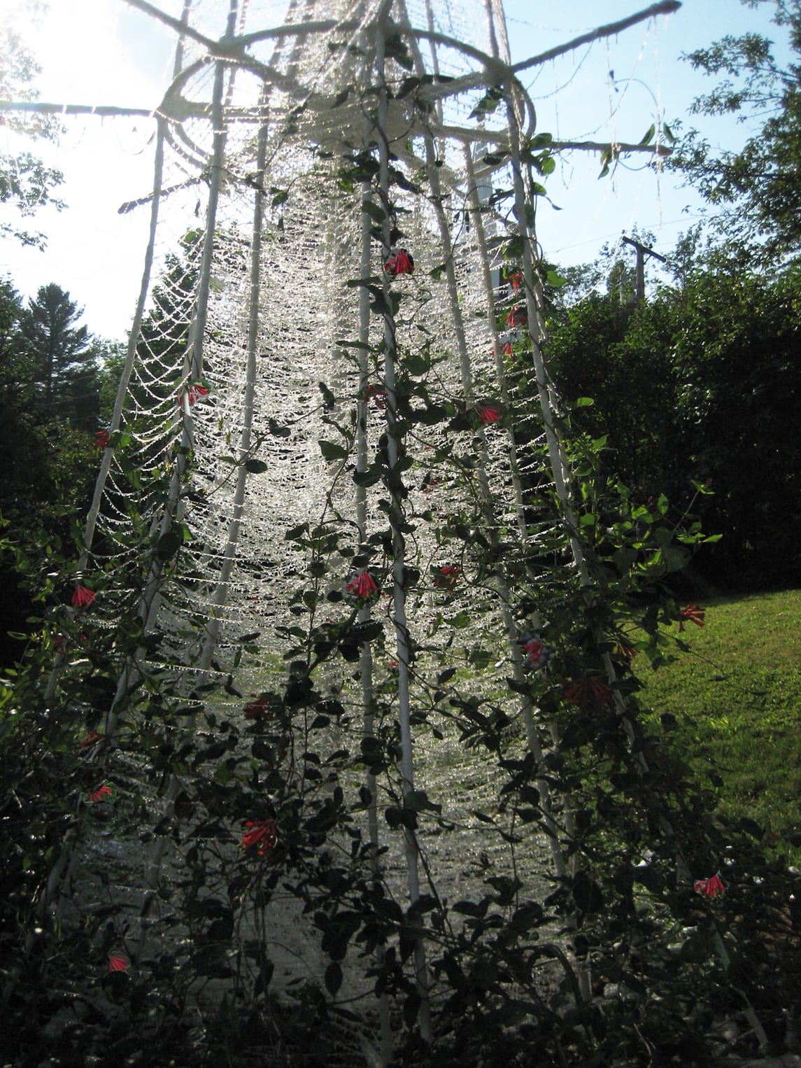 The Hummingbird Palace, Harrisville