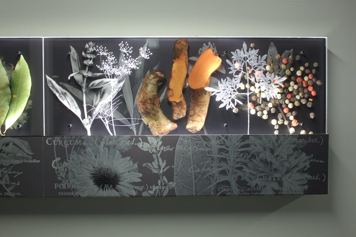 Herbier de Saveurs et des Soins (Herbarium of flavors and care)